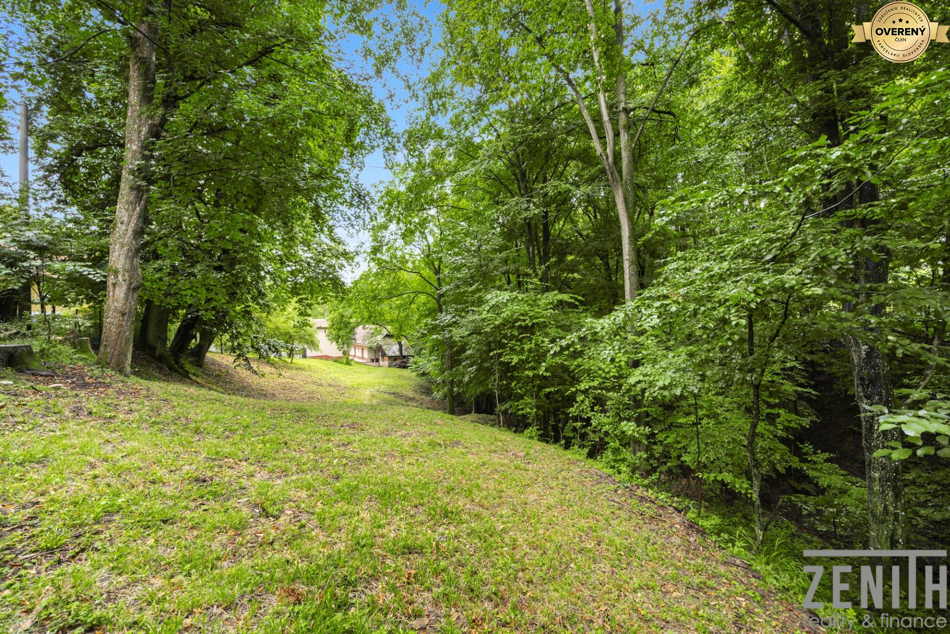 Sale Family house, Family house, Dzurákovci, Myjava, Slovakia