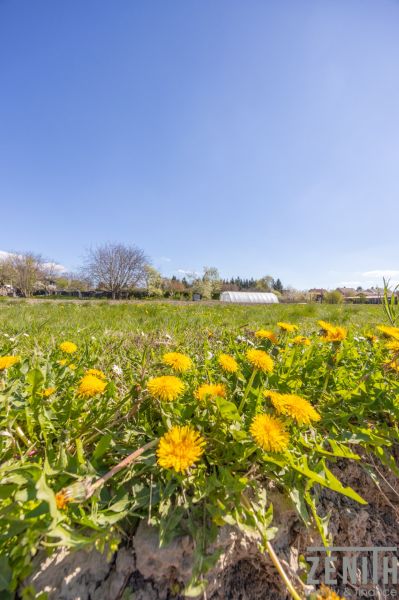 Sale Land – for living, Land – for living, Mosonmagyaróvár, Hungary